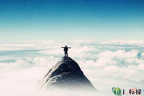 真正的上等八字