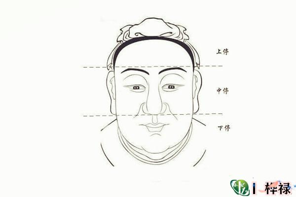 面相基础：三庭十二宫是哪里