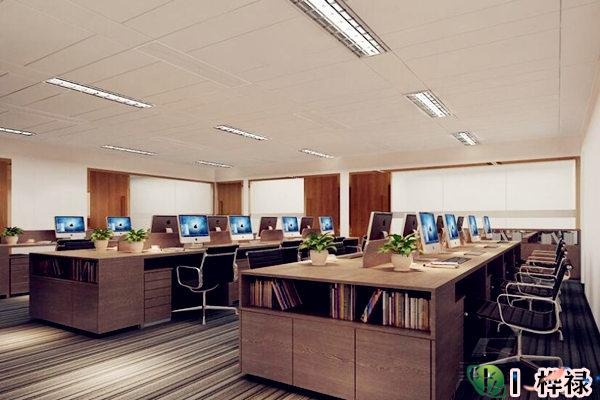 办公室摆放仙人掌风水好吗