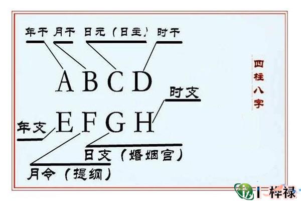 三分钟读懂四柱八字排盘