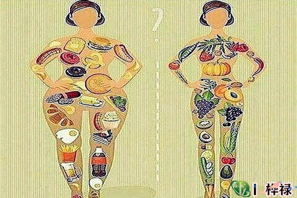 富有的体型特征