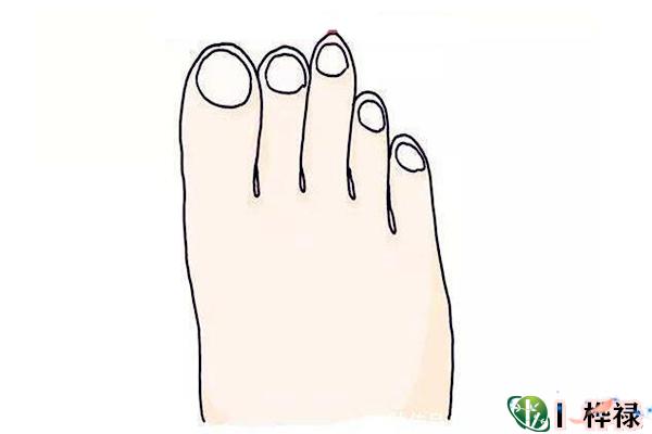 手和脚看财气特点