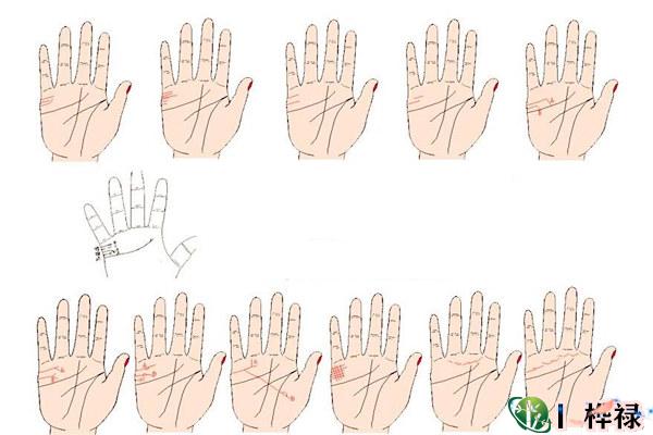 女人手相婚姻线看法