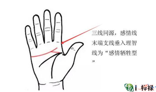 手相婚姻感情线的看法
