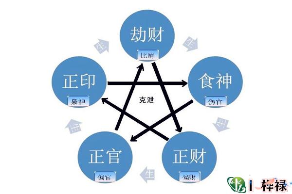 ​八字月干十神详解