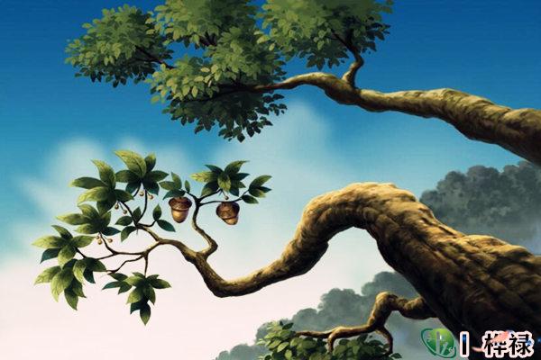 八字盲派乙木日元口诀