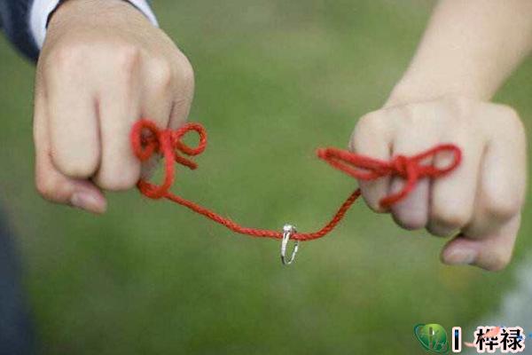 八字桃花入命的命理详解