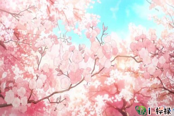 八字桃花入命的命理详解