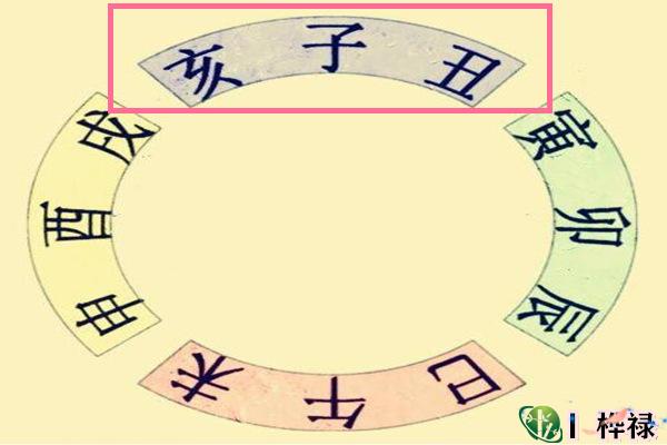 八字带亥子丑的人好吗