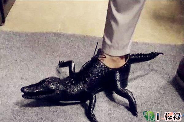 别人送的鞋子真的不能穿吗