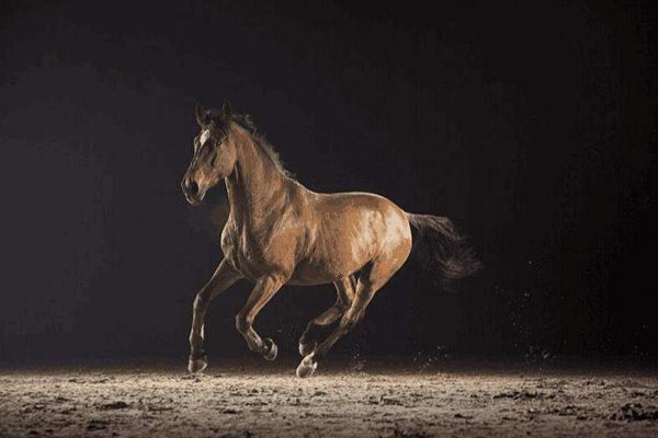 生辰八字怎么查驿马