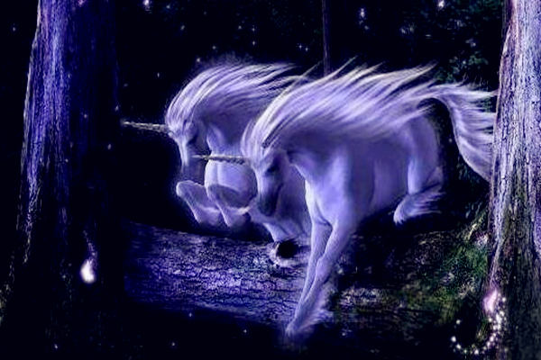 八字驿马星代表了什么