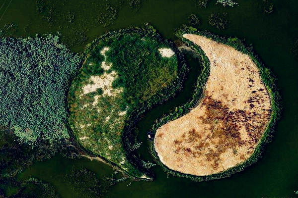 女人什么八字有福（女人什么八字有福气）