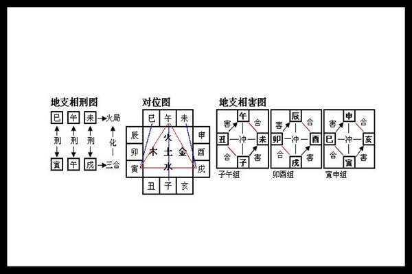 地支的作用关系