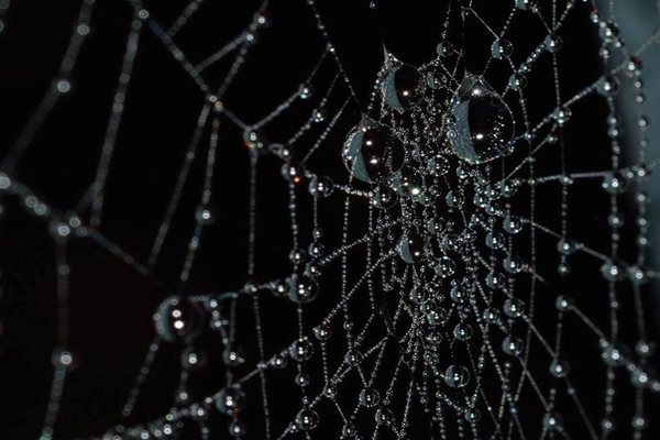 命犯天罗地网的化解方法