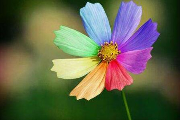 人要走好运的征兆，如何快速改运