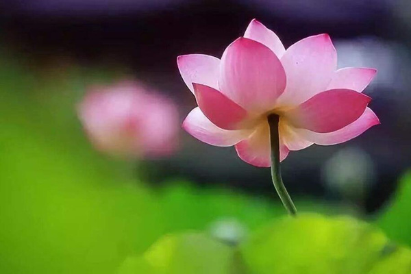 人要走好运的征兆,如何快速改运