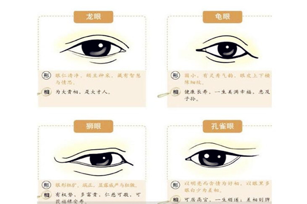 面相学眼睛有哪些分类