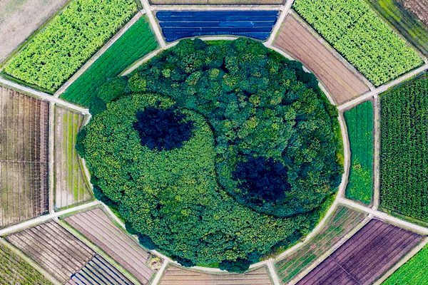 八字神煞金舆贵人详解