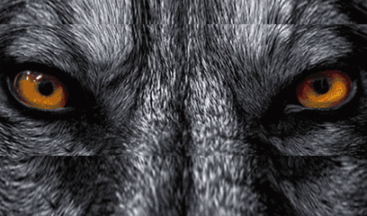 煞气重的人长相特征，命有煞气的人怎么办