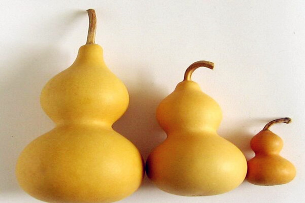 常见的煞气有什么,风水中化煞最厉害的物品