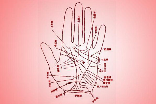 花心易偷情的手相特征