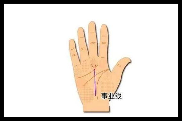 事业白手起家的手相