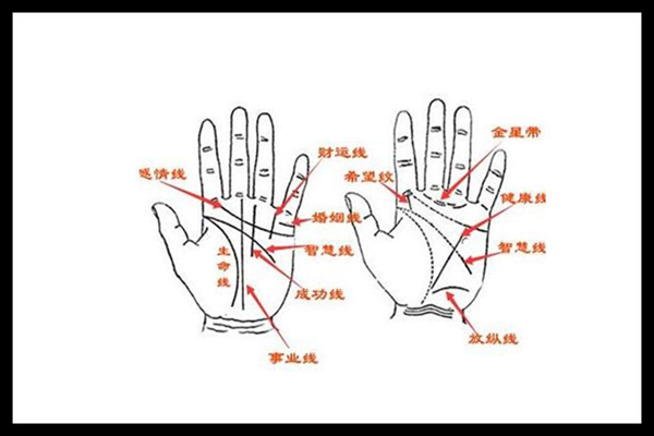 手相了解个性特征