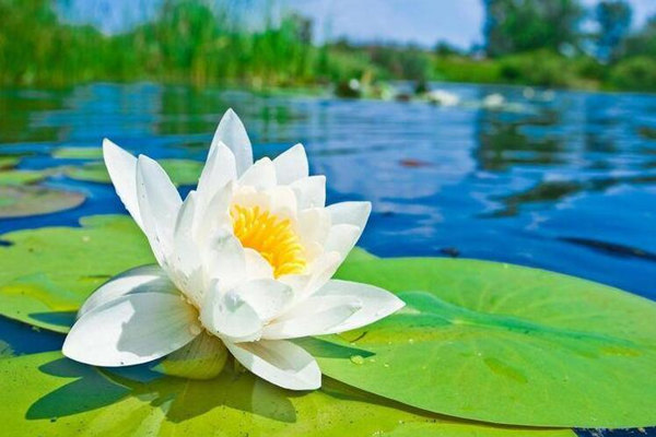 盲派八字格局行运口诀