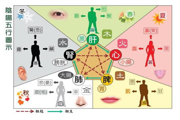 八字命局看健康技巧