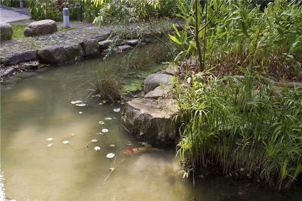别墅庭院水池方位风水