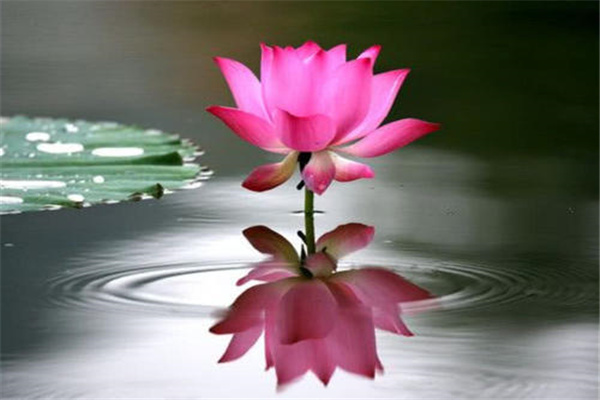 喜用神为印枭的八字