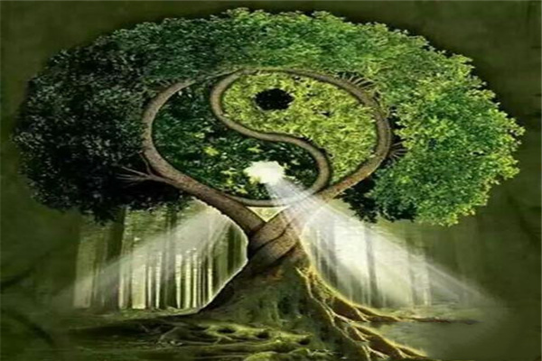 对感情专一的男人面相