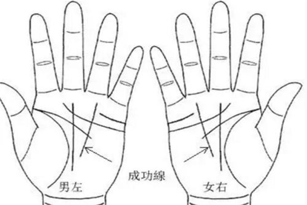 容易意外破财的手相