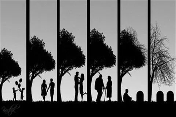 八字六亲选用技巧