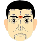 面相算命-桦禄易学网