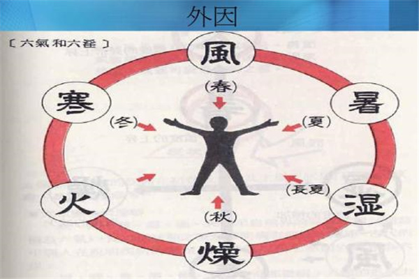 八字五行缺水补救方法