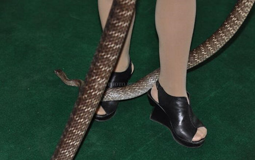 八字看适合你的最佳职业（八字看适合自己的职业）