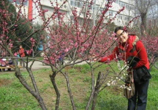 武财神风水如何摆放(武财神怎么摆放位置)