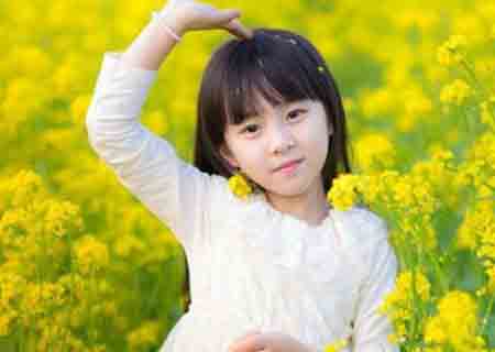 女人办公室风水布局（女员工办公室风水摆放图片）