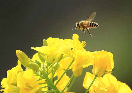 无财库照样富贵的八字（无财库的八字是不是注定穷一辈子）