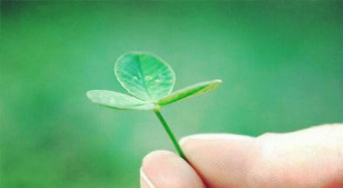 龙龟的摆放风水及禁忌