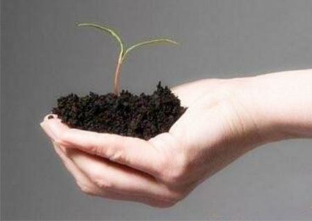 事业能大展宏图的八字（事业上大展宏图）