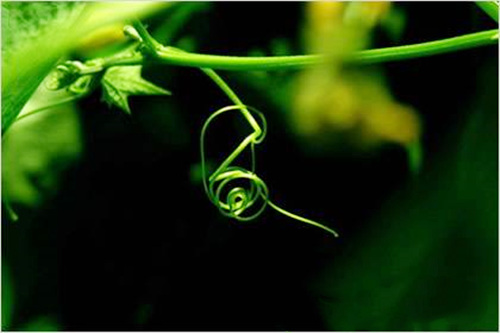 祸从口出的八字特征