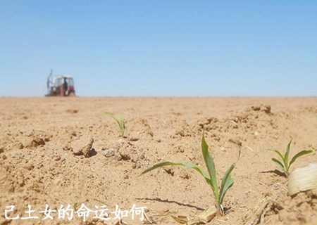 八字看流年应事（八字看流年应事怎么看）