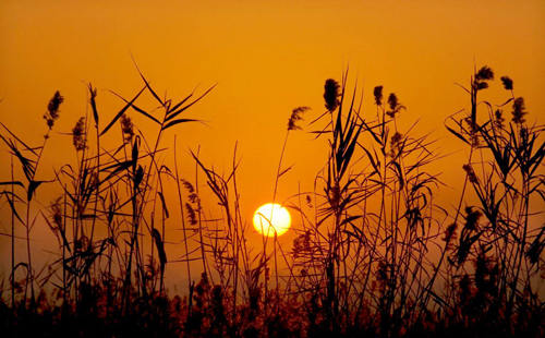 怎样的风水能旺丁旺财（怎样的风水能旺丁旺财运呢）
