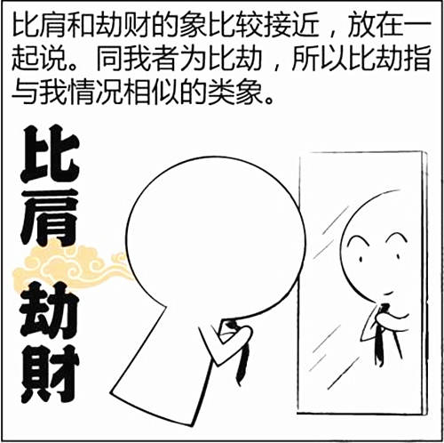 八字十神比肩是什么意思