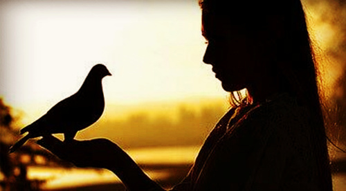 心地善良的八字特征