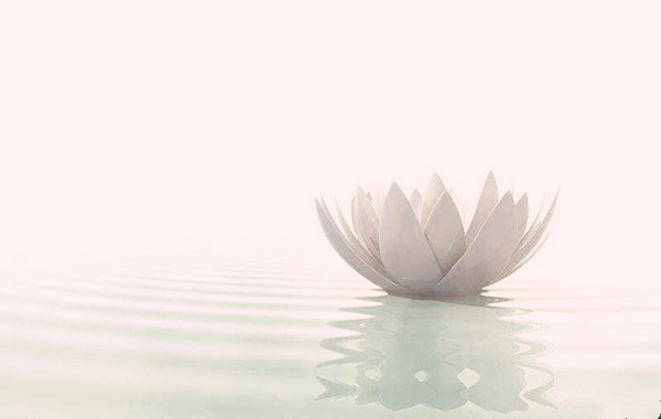 八字月柱与日柱哪个重要