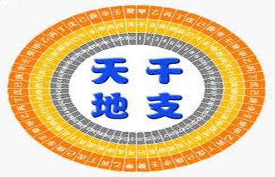 八字天干地支关系总论